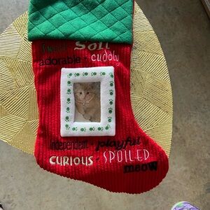 Festive Red and Green Cat Stocking